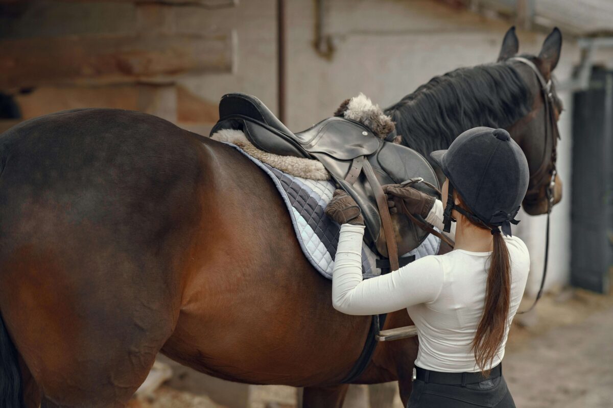 Western saddle properly fitted on a horse for comfort and performance