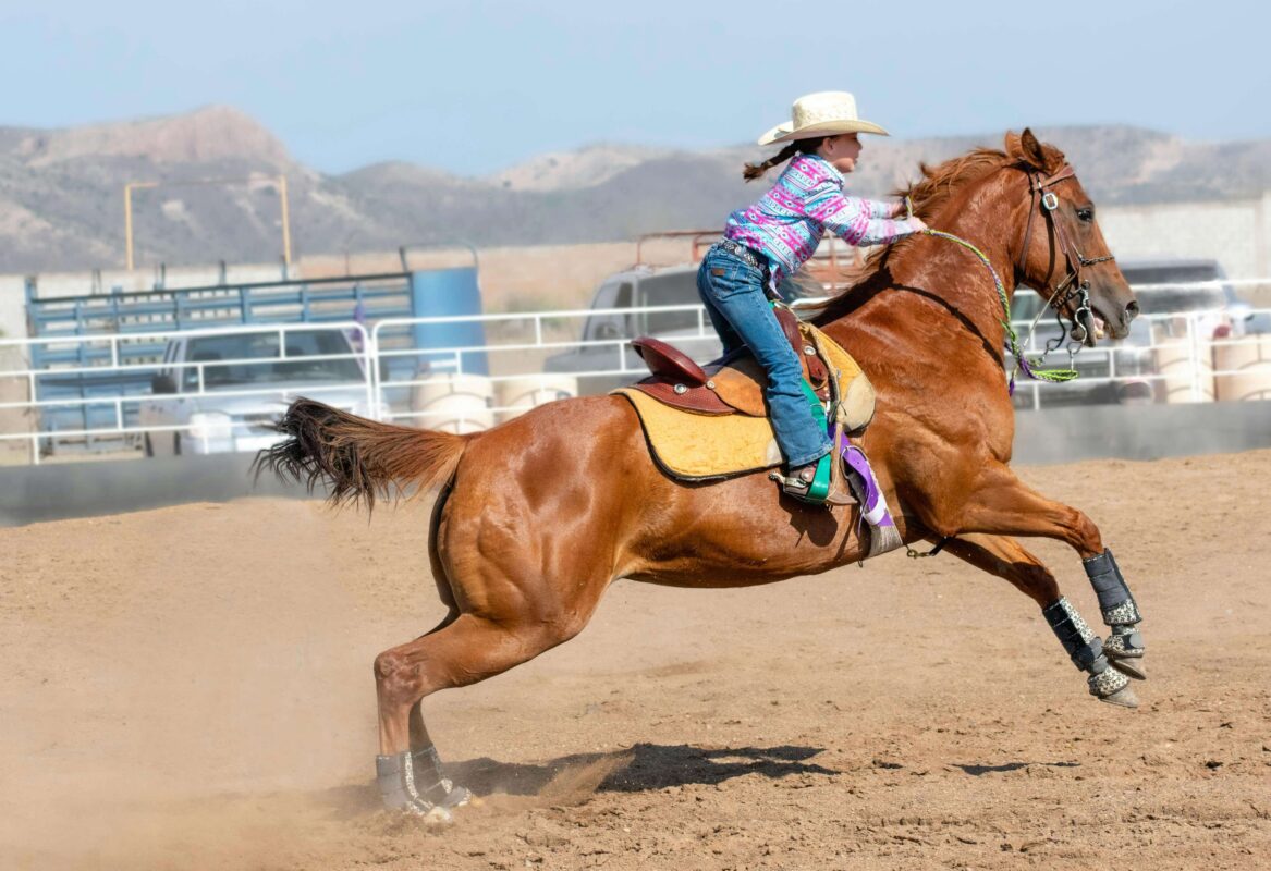 Close-up of barrel racing saddle showing seat, horn, and leather details