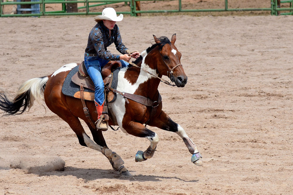 barrel racing horse turning at speed